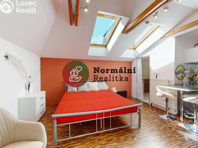 Sale villa Děčín, Nedbalova č. 42