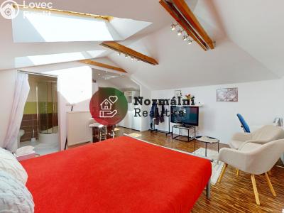 Sale villa Děčín, Nedbalova č. 43