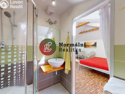 Sale villa Děčín, Nedbalova č. 45