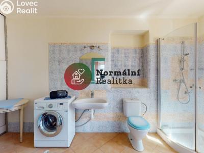Sale villa Děčín, Nedbalova č. 76