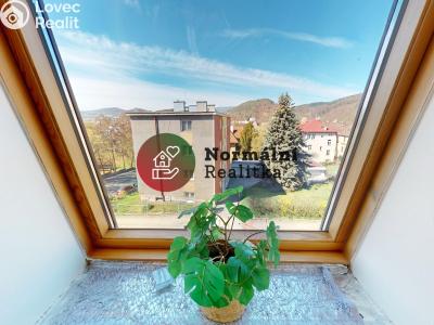 Prodej vily Děčín, Nedbalova č. 15