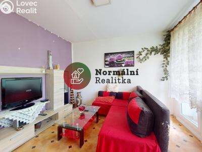 Prodej bytu 3+1 Ústí nad Labem, Jindřicha Plachty č. 12