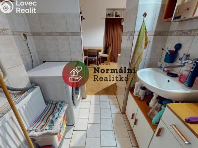 Prodej bytu 3+1 Děčín, Nerudova č. 14