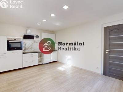 Sale family house Peruc č. 3