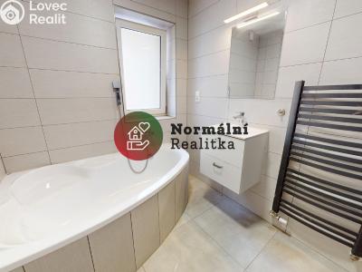 Sale family house Peruc č. 4