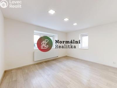Sale family house Peruc č. 5