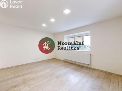 Sale family house Peruc č. 13