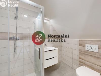 Sale family house Peruc č. 28