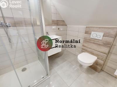 Sale family house Peruc č. 29