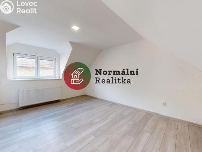Sale family house Peruc č. 36
