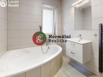 Sale family house Peruc č. 62