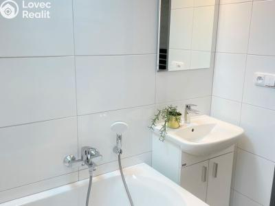 Аренда квартиры 2+KK Borovany č. 4
