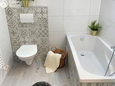 Аренда квартиры 2+KK Borovany č. 5