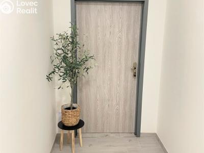 Аренда квартиры 2+KK Borovany č. 7