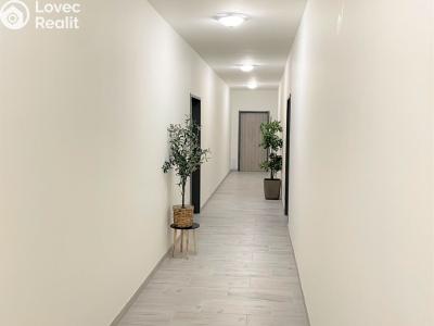 Аренда квартиры 2+KK Borovany č. 8