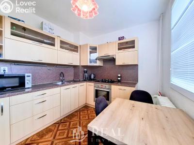 Prodej bytu 2+1 Chomutov, Holešická 4739 č. 1