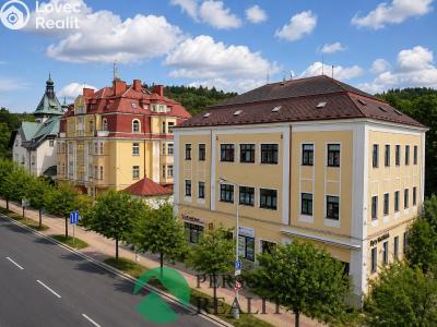 Pronájem bytu 1+1 Mariánské Lázně, Hlavní třída č. 4