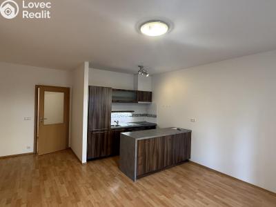 Pronájem bytu 2+KK Hradec Králové, Ve Stromovce č. 3