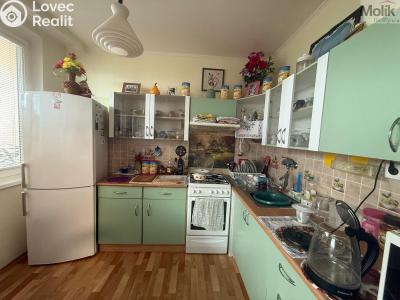 Prodej bytu 4+1 Litvínov, Luční 324 č. 3