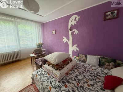 Prodej bytu 4+1 Litvínov, Luční 324 č. 4