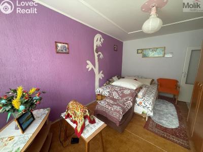 Prodej bytu 4+1 Litvínov, Luční 324 č. 5