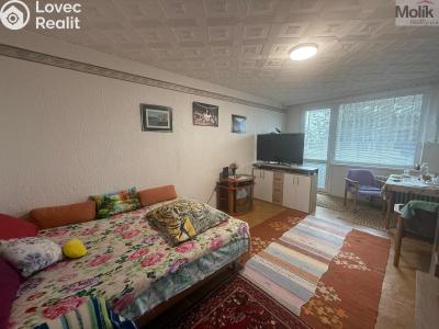 Prodej bytu 4+1 Litvínov, Luční 324 č. 10