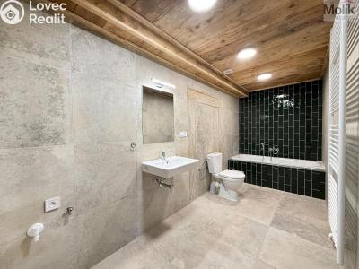Rent family house Osek, Tovární 190 č. 2