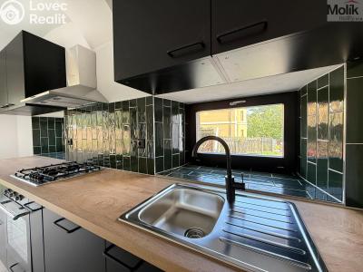 Rent family house Osek, Tovární 190 č. 5