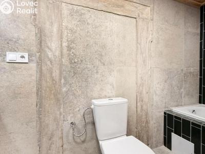 Rent family house Osek, Tovární 190 č. 12
