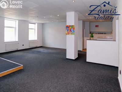 Продажа многоквартирного дома Kladno, Žižkova 336 č. 11