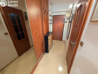 Rent apartment 2+KK Mladá Boleslav, U stadionu 926 č. 9
