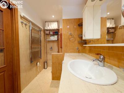 Rent apartment 2+KK Mladá Boleslav, U stadionu 926 č. 12