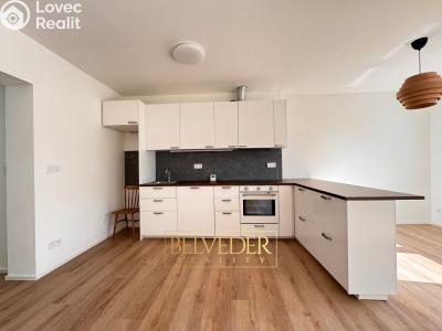 Pronájem bytu 2+KK Teplice, Albrechtova 3326 č. 11