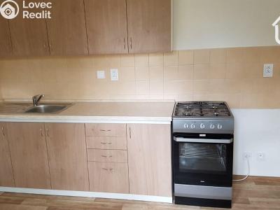 Оренда квартири 2+1 Ostrava, Dvouletky č. 6