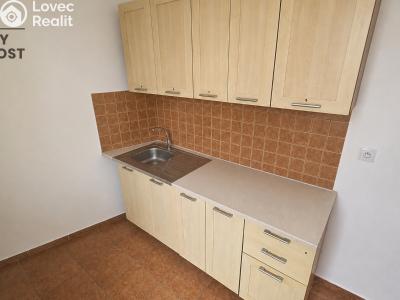 Pronájem bytu 3+KK Teplice, Nábřežní č. 4