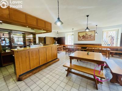 Оренда комерційної нерухомості Luka nad Jihlavou, nám. 9. května č. 25