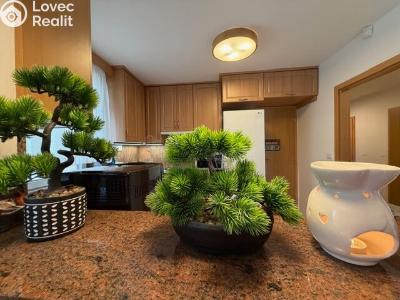 Продажа семейного дома Ostrava, Hranečník č. 27