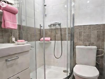 Аренда нестандартной квартиры Starý Plzenec, Herejkova 1013 č. 2