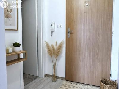 Аренда нестандартной квартиры Starý Plzenec, Herejkova 1013 č. 3