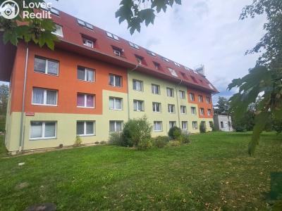 Аренда нестандартной квартиры Starý Plzenec, Herejkova 1013 č. 4
