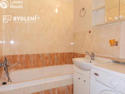 Prodej bytu 1+1 Most, Jiřího Wolkera 421 č. 9