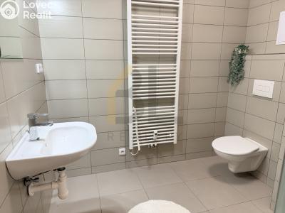 Pronájem bytu 1+KK Rohatec, Moravní č. 3