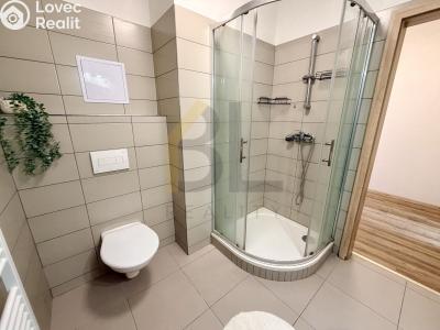 Pronájem bytu 1+KK Rohatec, Moravní č. 4