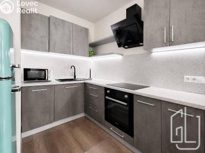Оренда квартири 2+KK Praha, Nekvasilova č. 1