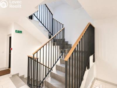Оренда квартири 2+KK Praha, Nekvasilova č. 17