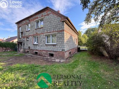 Продажа многогенного дом Nechanice č. 4
