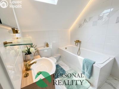 Продажа многогенного дом Nechanice č. 18
