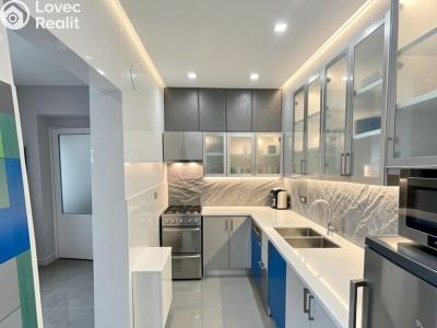 Продажа многогенного дом Nechanice č. 36