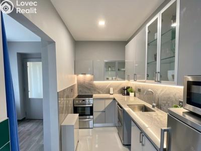 Продажа многогенного дом Nechanice č. 37