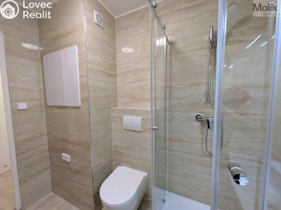 Prodej bytu 2+1 Krupka, Karla Čapka 258 č. 3